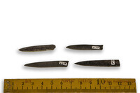 F 04378
<br/>
<br/>
<em></em>